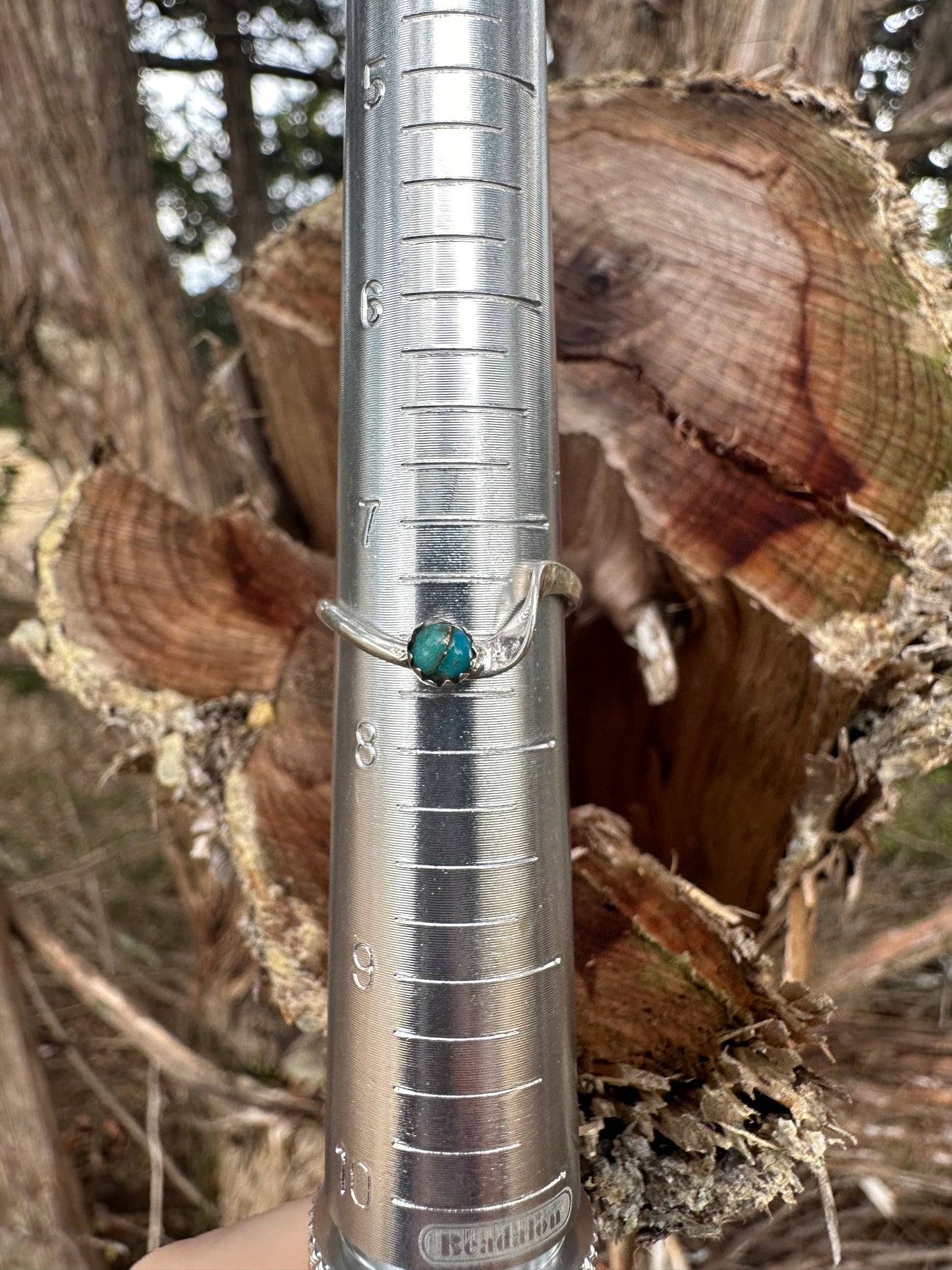 The turquoise wave