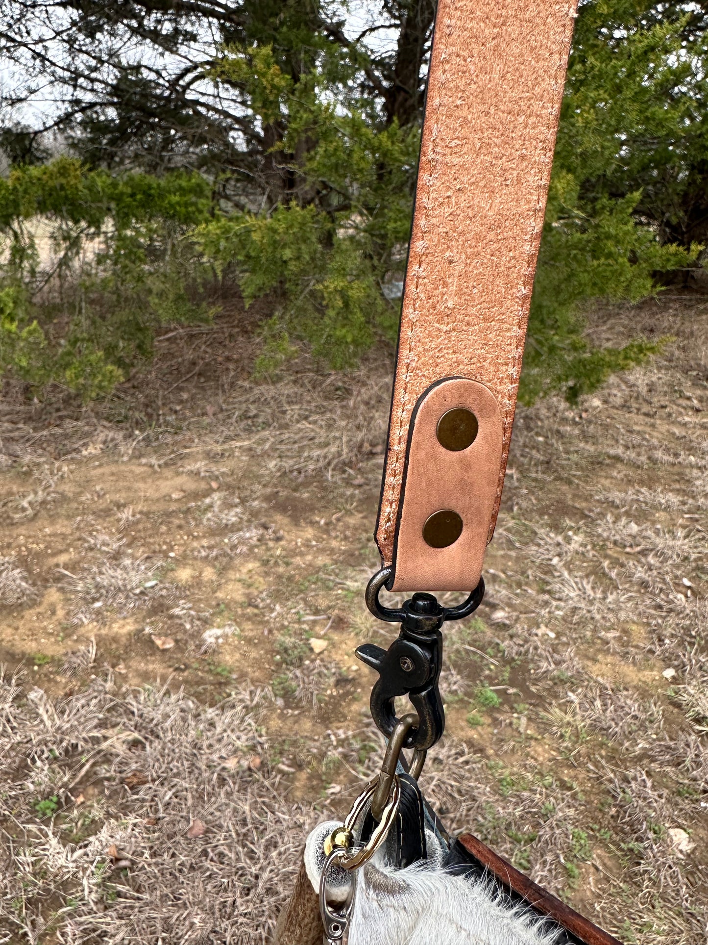 The horse purse strap