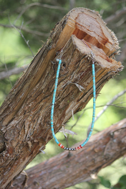 The prettiest of blues with spiny