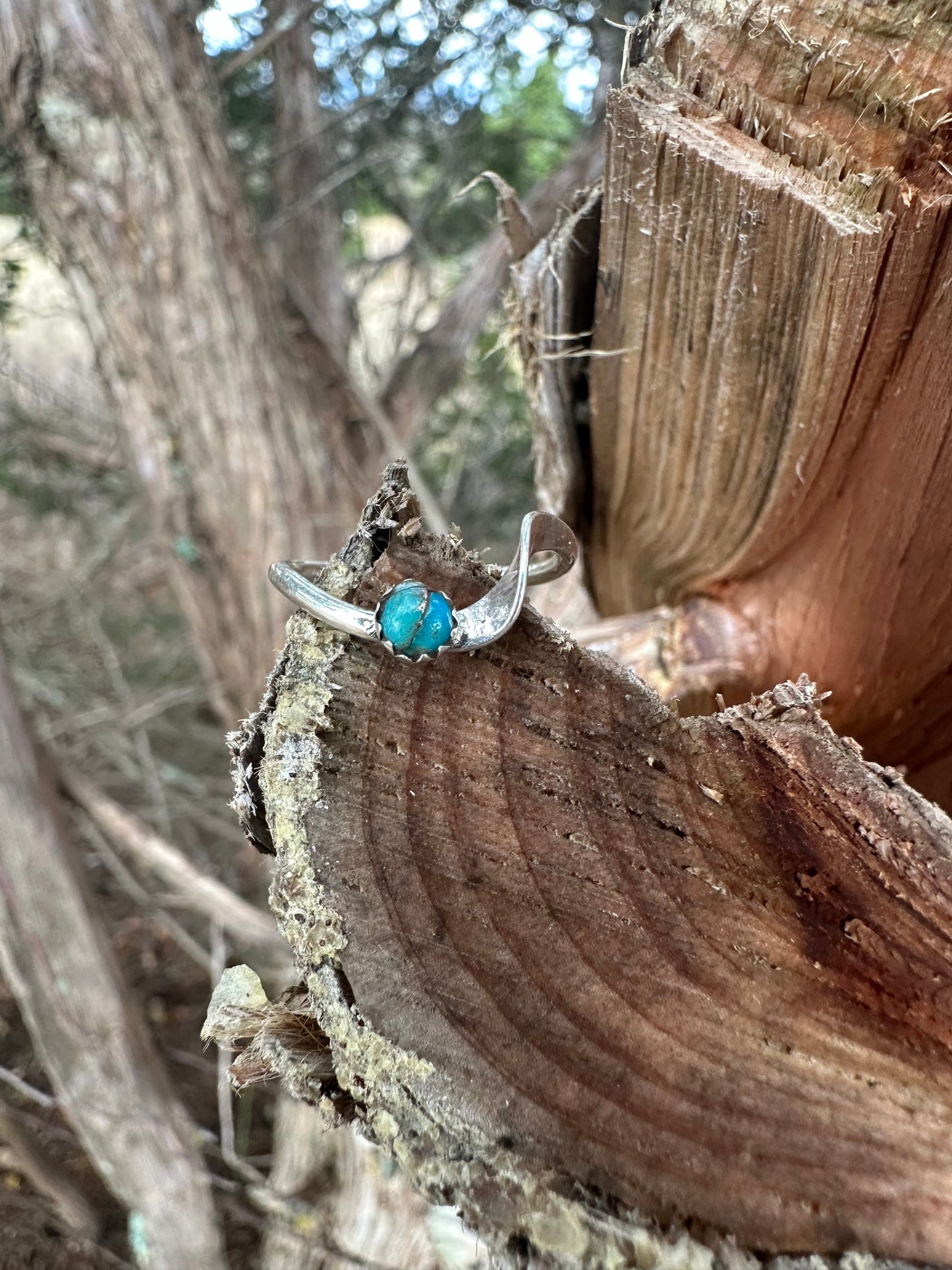 The turquoise wave