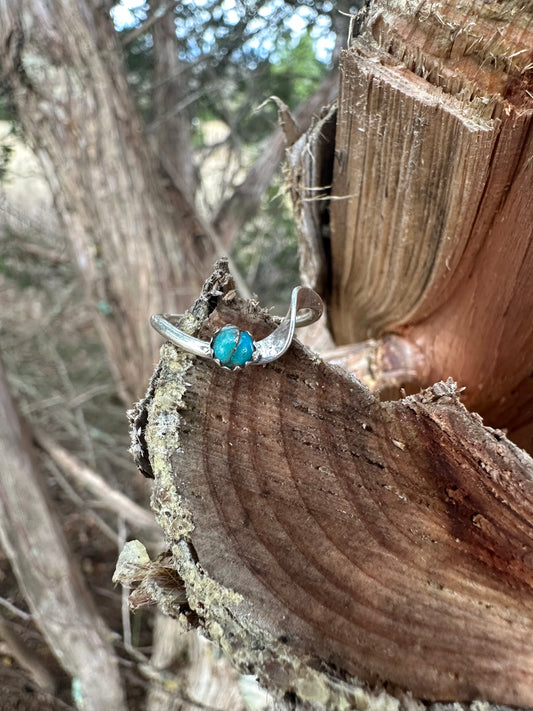 The turquoise wave