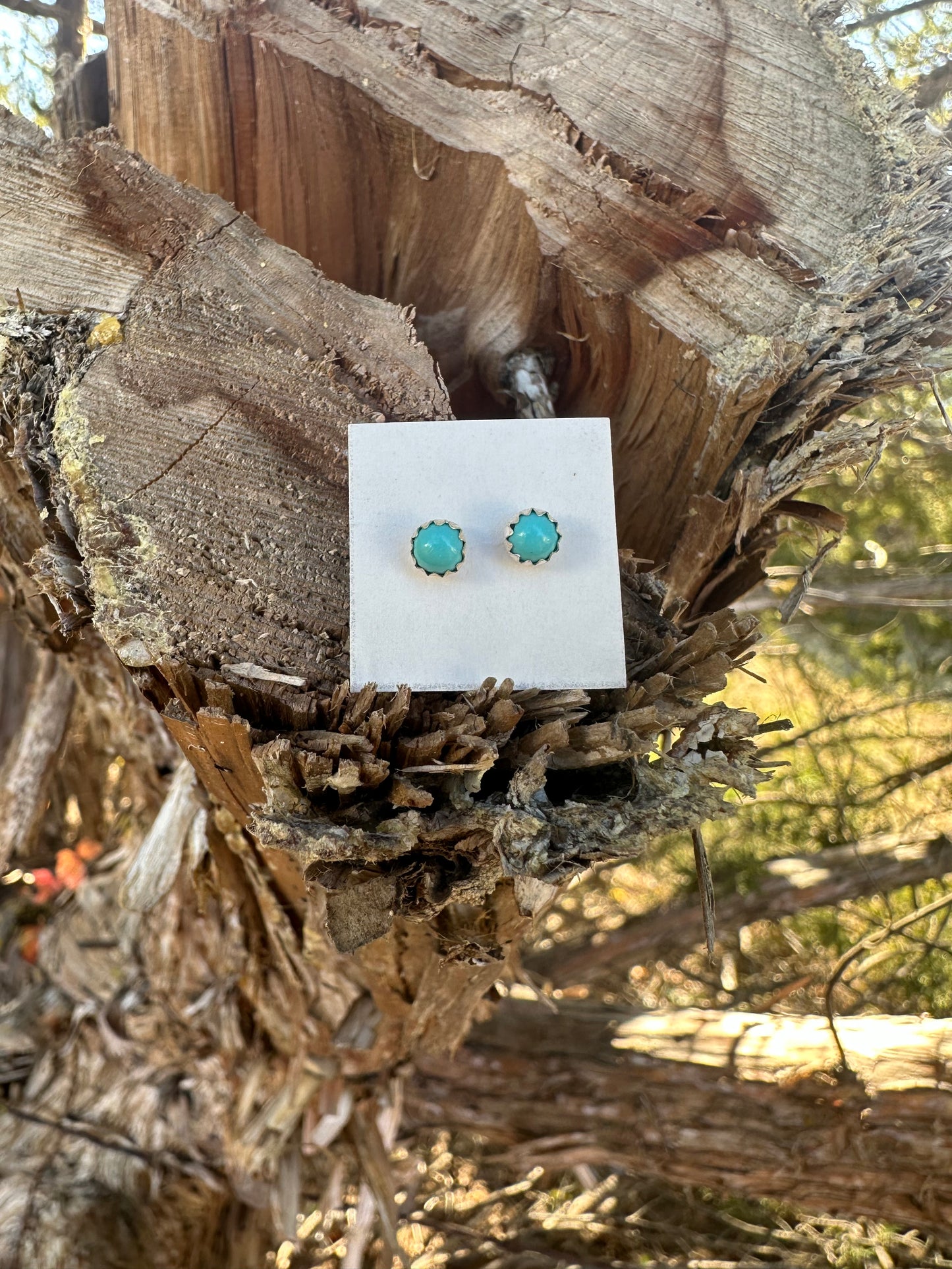 Turquoise studs