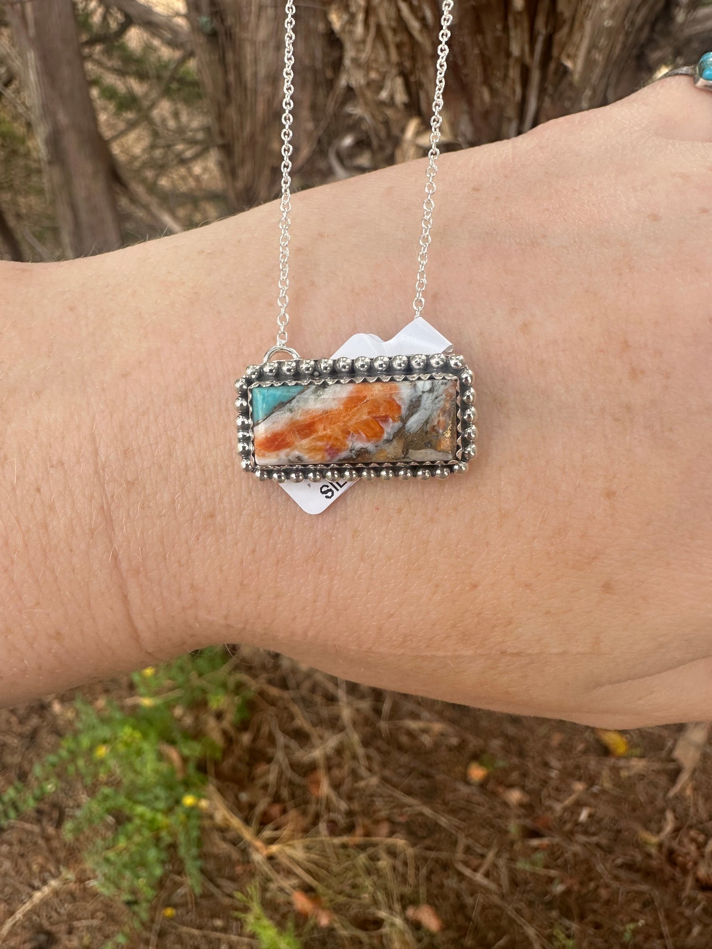 Spiny and turquoise
