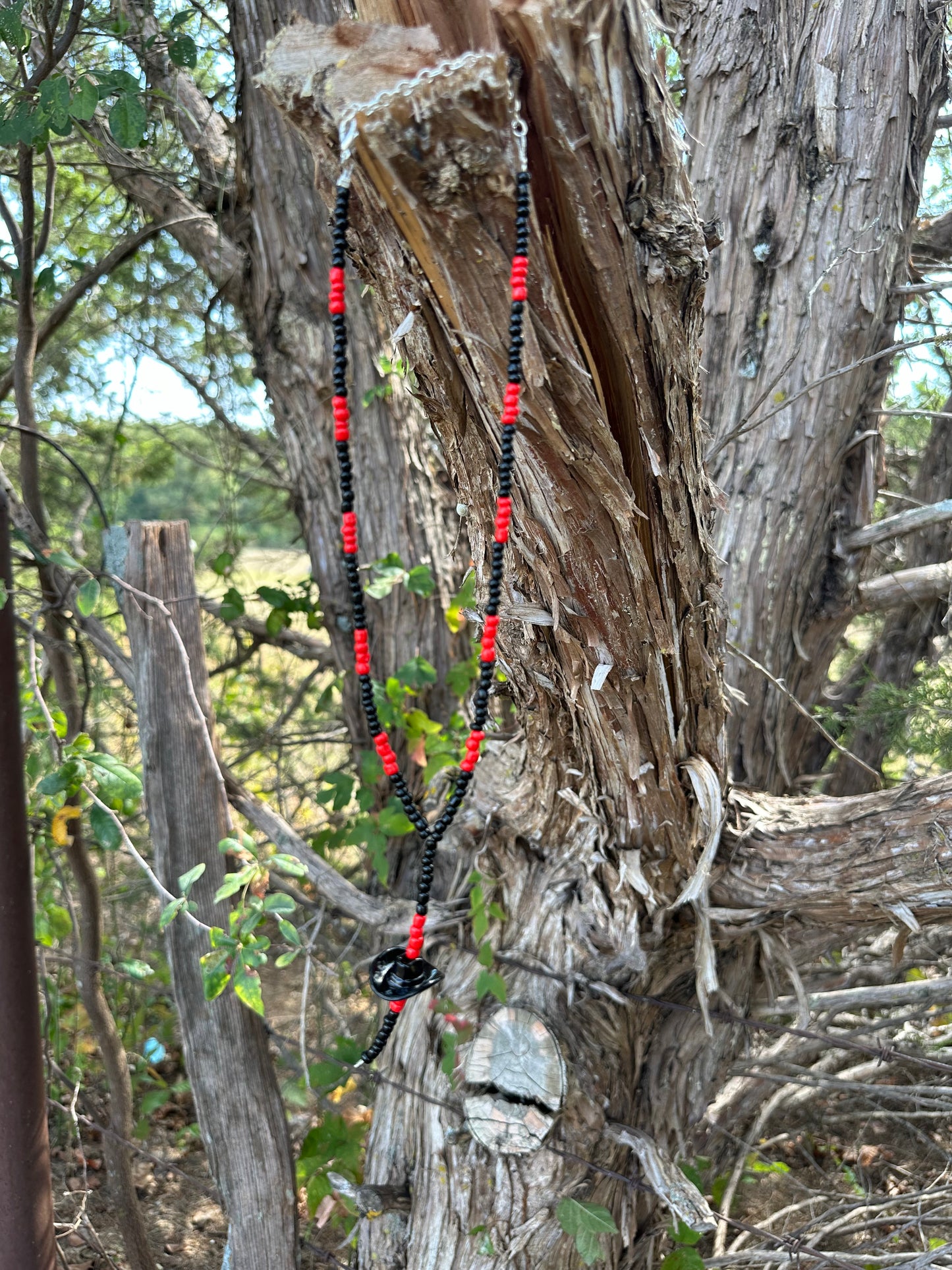 The black widow cowboy