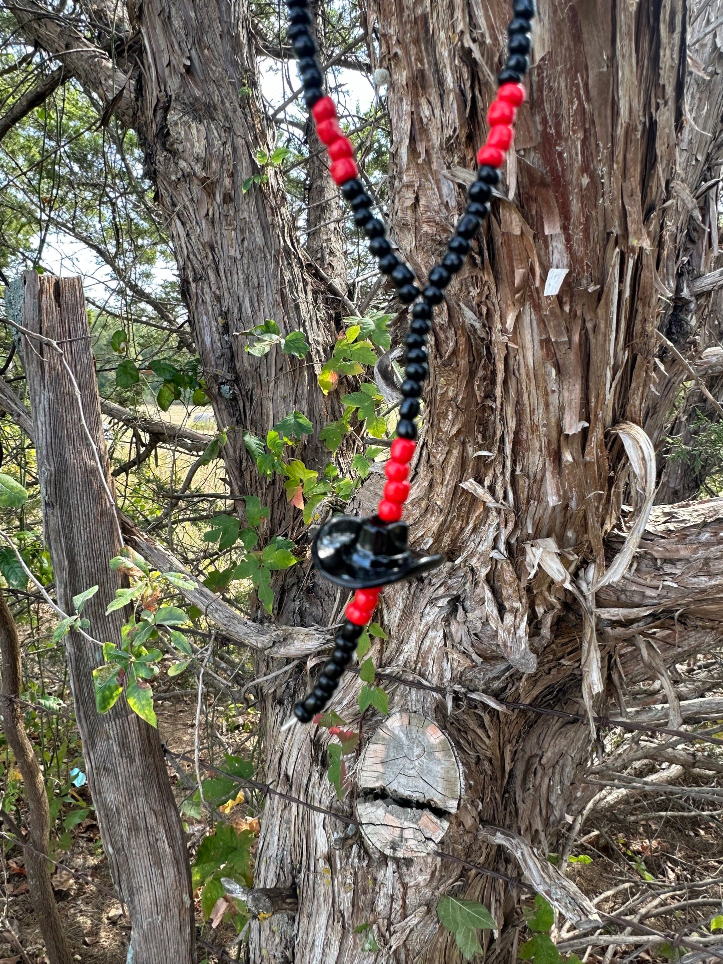 The black widow cowboy